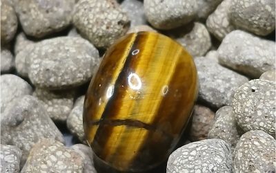Œil de Tigre – Couleur et Reflets Dorés