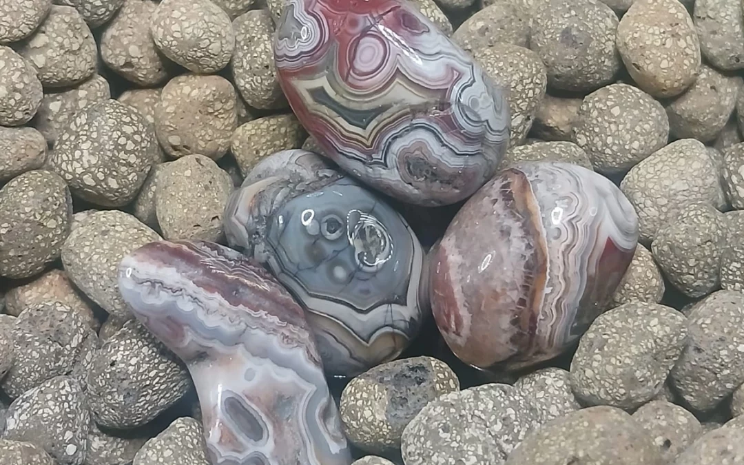 Pierre naturelle Agate Crazy Lace