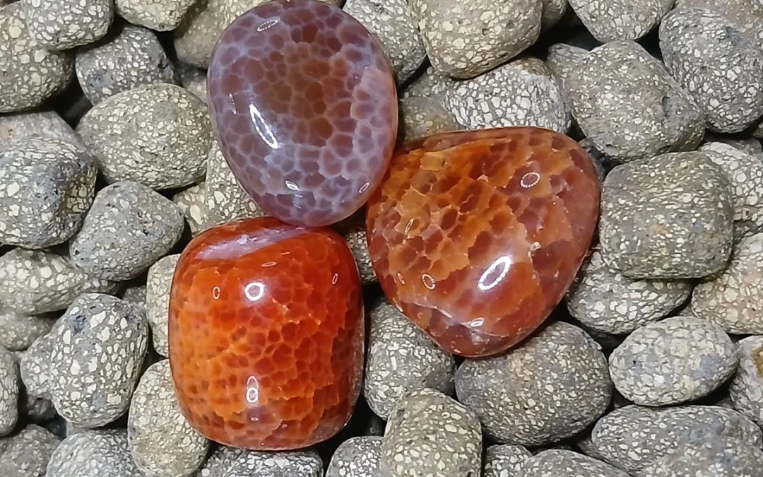 Pierre naturelle agate peau de serpent