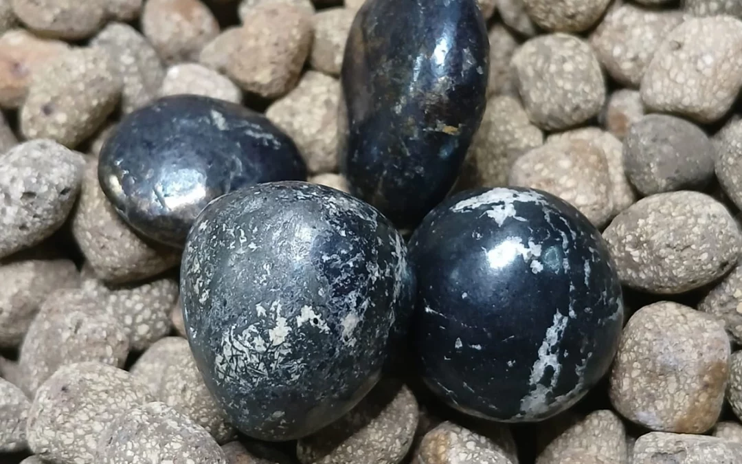 Pierre naturelle roulée covelline