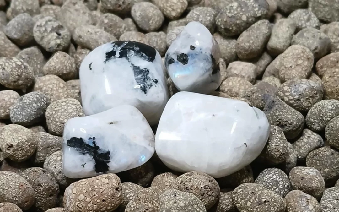 Pierre naturelle roulée pierre de lune blanche