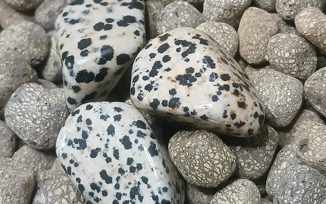 Pierre naturelle roulée jaspe dalmatien
